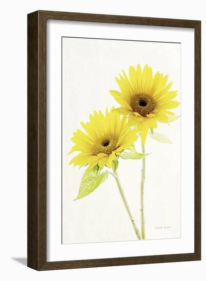 Light and Bright Floral VII-Elizabeth Urquhart-Framed Photo