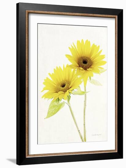 Light and Bright Floral VII-Elizabeth Urquhart-Framed Photo