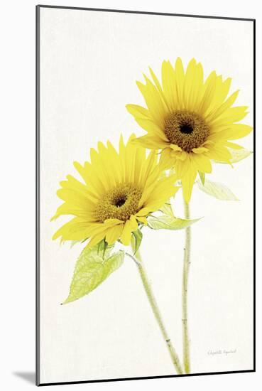 Light and Bright Floral VII-Elizabeth Urquhart-Mounted Photo