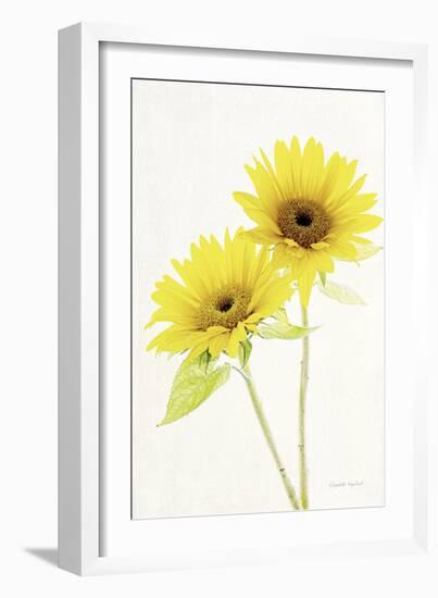 Light and Bright Floral VII-Elizabeth Urquhart-Framed Photographic Print