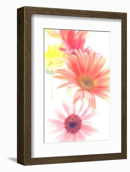 Light and Color-John Gusky-Framed Photographic Print