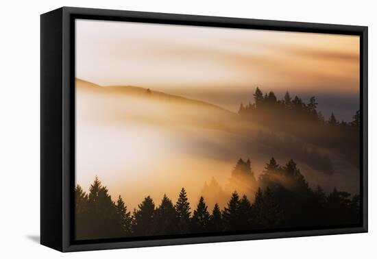 Light and Mist Sweep, Hills and Fog, Mount Tamalpais Marin County-Vincent James-Framed Premier Image Canvas