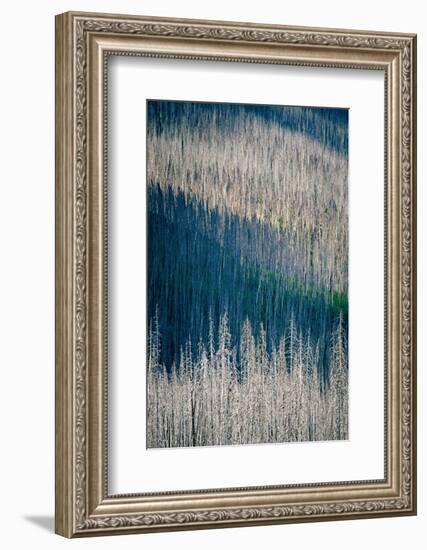 Light and Shadow-Ursula Abresch-Framed Photographic Print