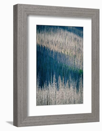 Light and Shadow-Ursula Abresch-Framed Photographic Print