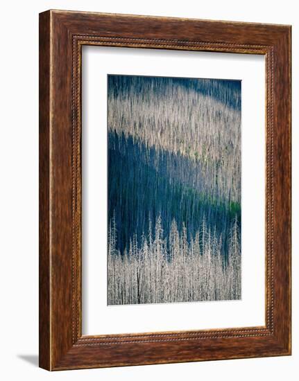 Light and Shadow-Ursula Abresch-Framed Photographic Print