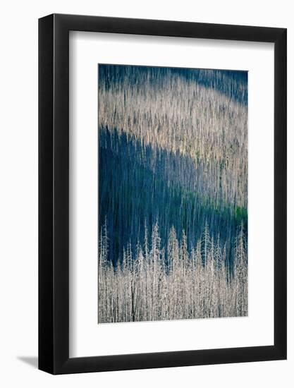 Light and Shadow-Ursula Abresch-Framed Photographic Print