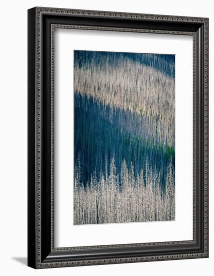 Light and Shadow-Ursula Abresch-Framed Photographic Print