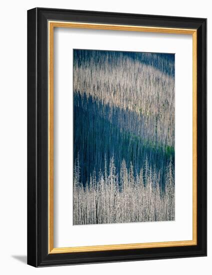 Light and Shadow-Ursula Abresch-Framed Photographic Print