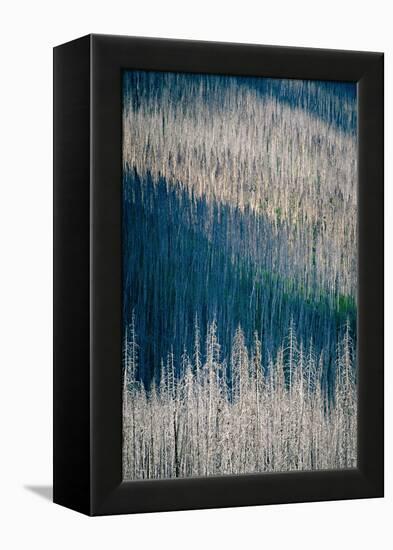 Light and Shadow-Ursula Abresch-Framed Premier Image Canvas