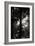 Light and Shadows I-Erin Berzel-Framed Photographic Print