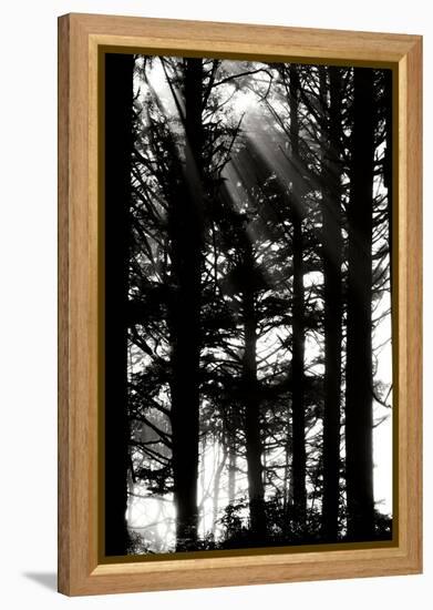 Light and Shadows II-Erin Berzel-Framed Premier Image Canvas