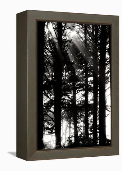 Light and Shadows II-Erin Berzel-Framed Premier Image Canvas