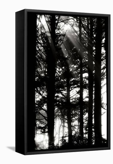 Light and Shadows II-Erin Berzel-Framed Premier Image Canvas