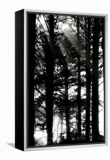 Light and Shadows II-Erin Berzel-Framed Premier Image Canvas