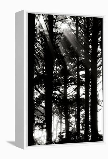 Light and Shadows II-Erin Berzel-Framed Premier Image Canvas