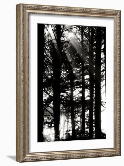 Light and Shadows II-Erin Berzel-Framed Photographic Print