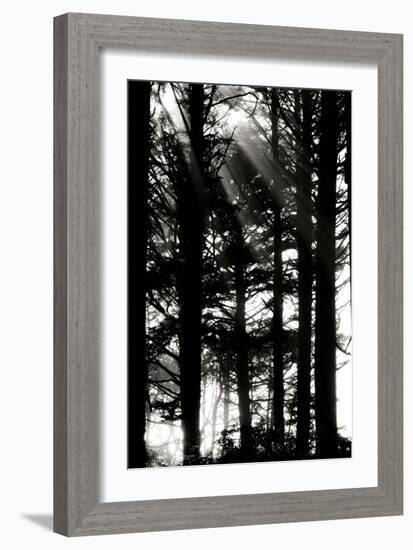 Light and Shadows II-Erin Berzel-Framed Photographic Print