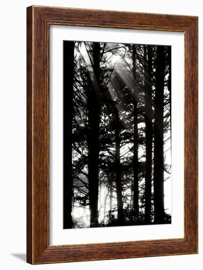 Light and Shadows II-Erin Berzel-Framed Photographic Print