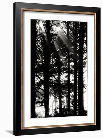 Light and Shadows II-Erin Berzel-Framed Photographic Print