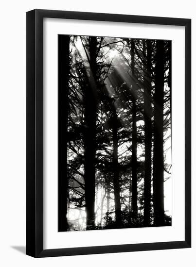 Light and Shadows II-Erin Berzel-Framed Photographic Print