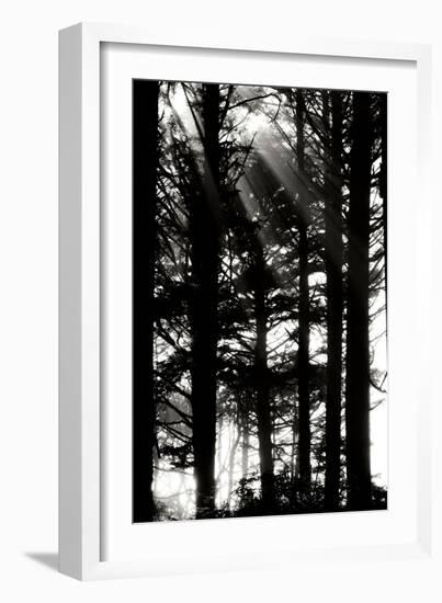 Light and Shadows II-Erin Berzel-Framed Photographic Print