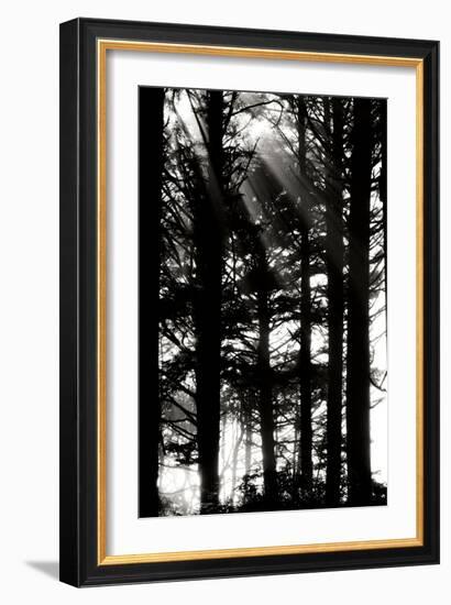 Light and Shadows II-Erin Berzel-Framed Photographic Print