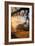 Light and the Back Woods-Vincent James-Framed Photographic Print