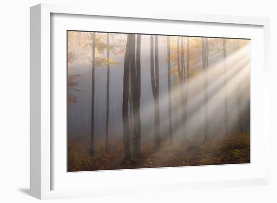 Light around the Corner-Alexandru Ionut Coman-Framed Giclee Print