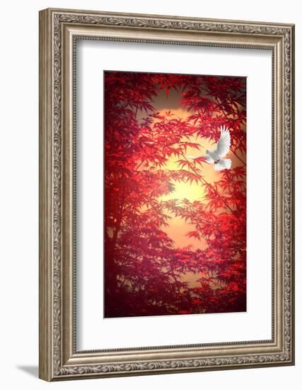 Light as a Feather-Philippe Sainte-Laudy-Framed Photographic Print