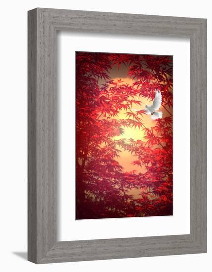 Light as a Feather-Philippe Sainte-Laudy-Framed Photographic Print