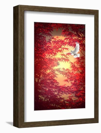 Light as a Feather-Philippe Sainte-Laudy-Framed Photographic Print