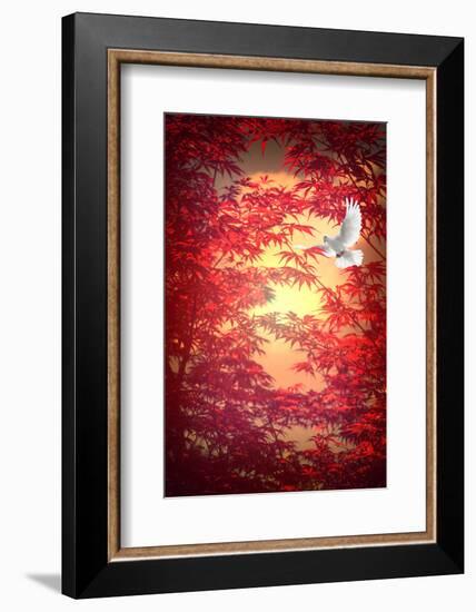 Light as a Feather-Philippe Sainte-Laudy-Framed Photographic Print