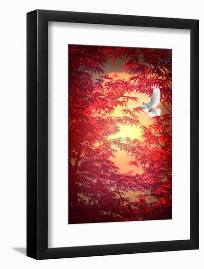 Light as a Feather-Philippe Sainte-Laudy-Framed Photographic Print