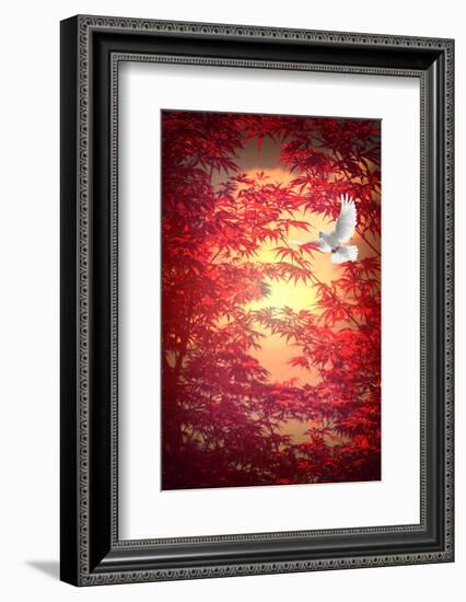 Light as a Feather-Philippe Sainte-Laudy-Framed Photographic Print