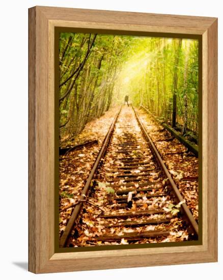 Light at the End of the Line-Nathan Wright-Framed Premier Image Canvas