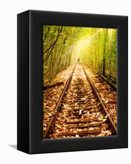 Light at the End of the Line-Nathan Wright-Framed Premier Image Canvas