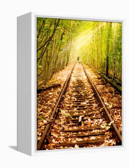 Light at the End of the Line-Nathan Wright-Framed Premier Image Canvas