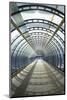 Light at the End of the Tunnel-Adrian Campfield-Mounted Photographic Print