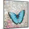 Light Blue Butterfly-Alan Hopfensperger-Mounted Art Print