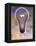 Light Bulb and Dollar Sign-null-Framed Premier Image Canvas