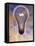 Light Bulb and Dollar Sign-null-Framed Premier Image Canvas