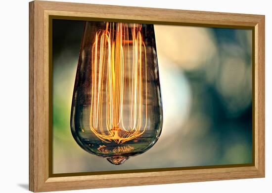 Light Bulb Closeup-null-Framed Stretched Canvas