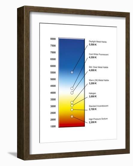 Light Bulb Colour Temperature Spectrum-Henning Dalhoff-Framed Photographic Print