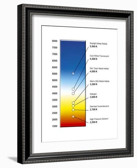 Light Bulb Colour Temperature Spectrum-Henning Dalhoff-Framed Photographic Print