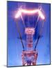 Light Bulb Filament-Victor De Schwanberg-Mounted Photographic Print