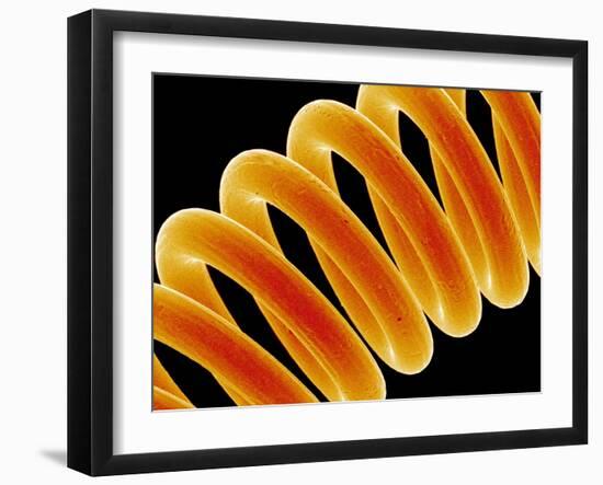 Light Bulb Filament-Susumu Nishinaga-Framed Photographic Print