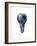 Light Bulb with Planet Earth Inside Glass, Americas View-null-Framed Premium Giclee Print
