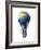 Light Bulb with Planet Earth Inside Glass, Asia View-null-Framed Art Print