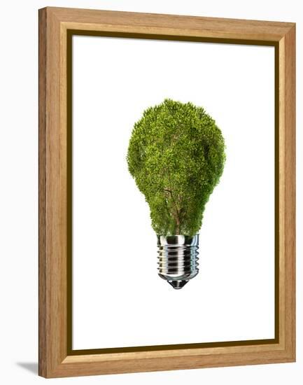 Light Bulb with Tree Inside Glass, Isolated on White Background-null-Framed Stretched Canvas