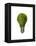 Light Bulb with Tree Inside Glass, Isolated on White Background-null-Framed Stretched Canvas